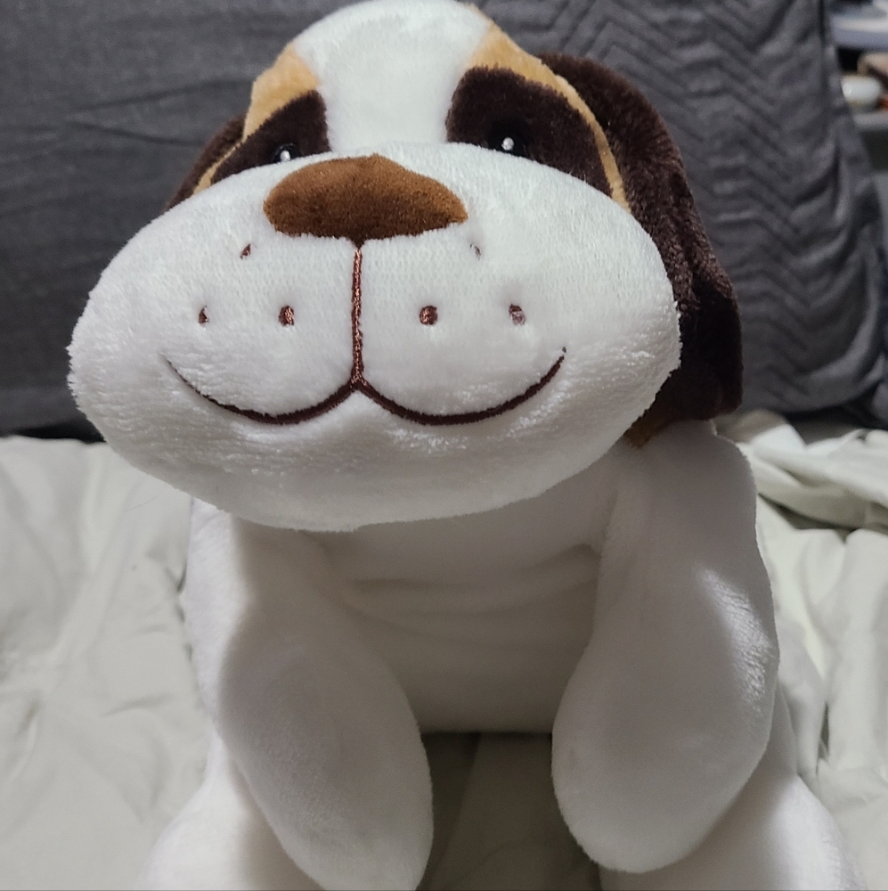 St. Bernard Puppy